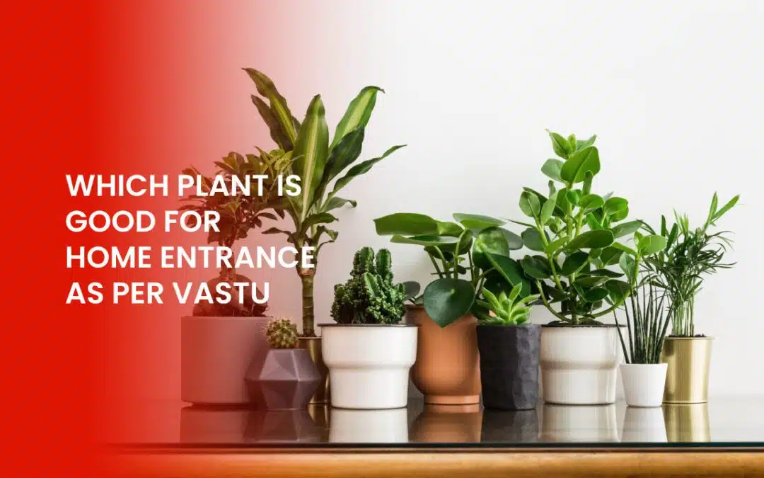 Vastu-approved plants